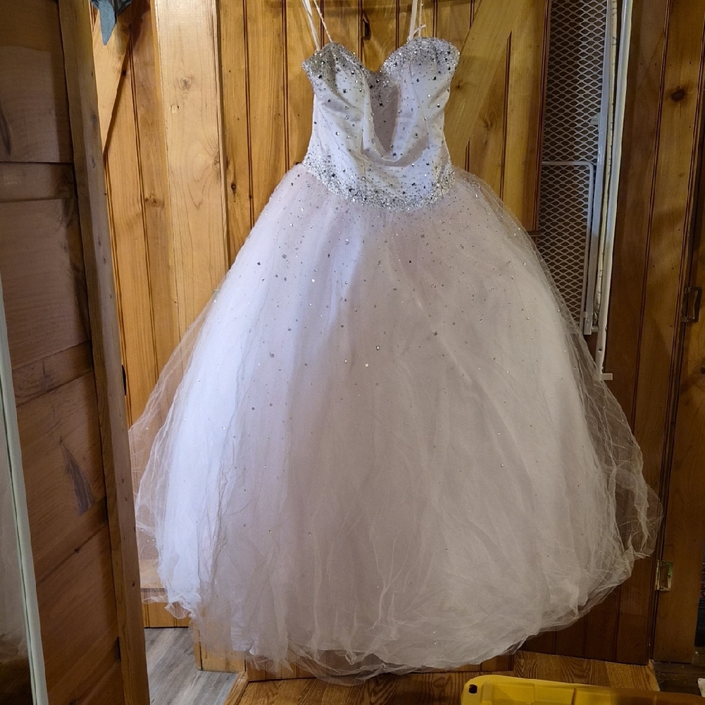 Elegant Pale Pink Ball Gown with Sparkling Details Absolutely beautiful.